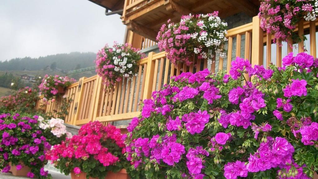 Gresil Residence Champoluc Bagian luar foto